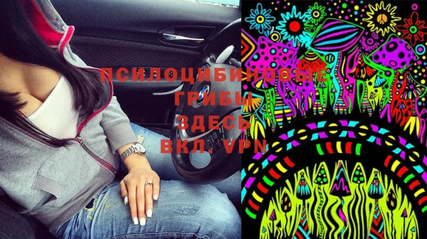 стаф Беломорск
