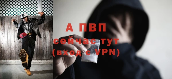 стаф Беломорск