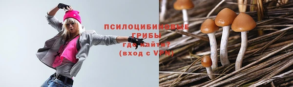 MDMA Premium VHQ Белокуриха