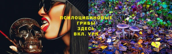 MDMA Premium VHQ Белокуриха