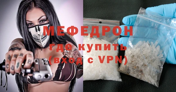 индика Новозыбков