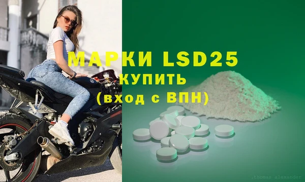 стаф Беломорск